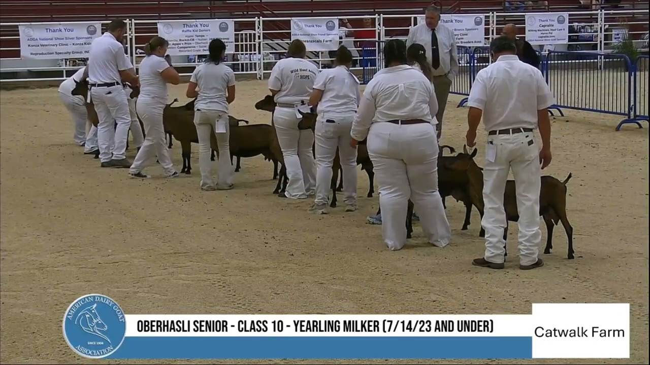 2025 ADGA Sr Oberhasli National Show