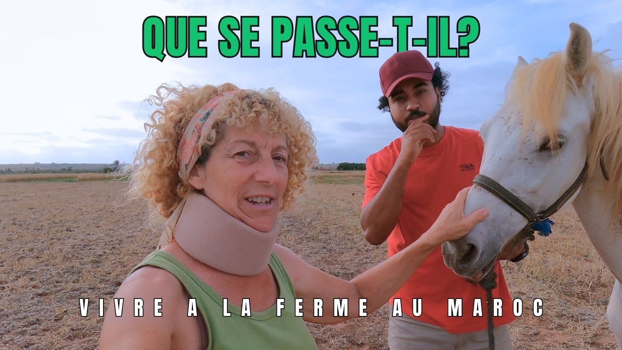 368-Des bonnes et mauvaises choses