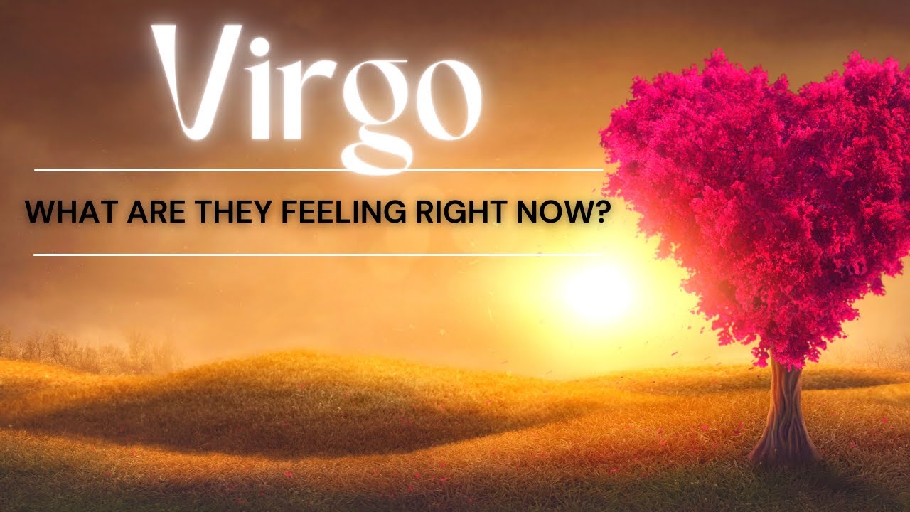 Virgo THEY WANT YOU IN THEIR LIFE PERIOD! #tarot #love #astrology #zodiac #astrology #soulmate