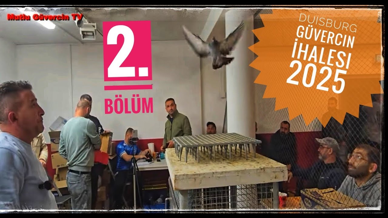 CANLI MEZAT - DUISBURG İHALESİ 11.10.2025 - ALMANYA - 2. BÖLÜM