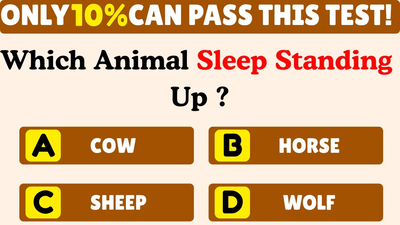 General Knowledge Quiz || Only 10%  Can Pass This Test! #quiz #quizchallenge #generalknowledge