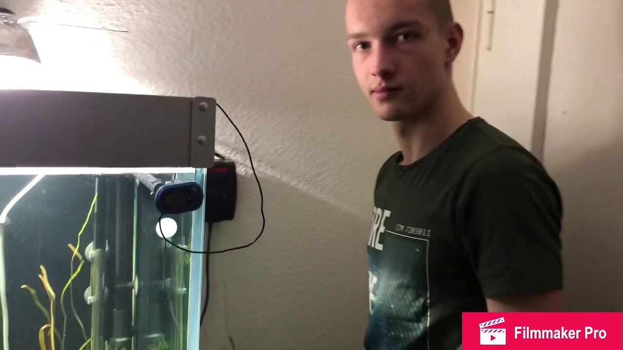 JBL e500 außenheitzer