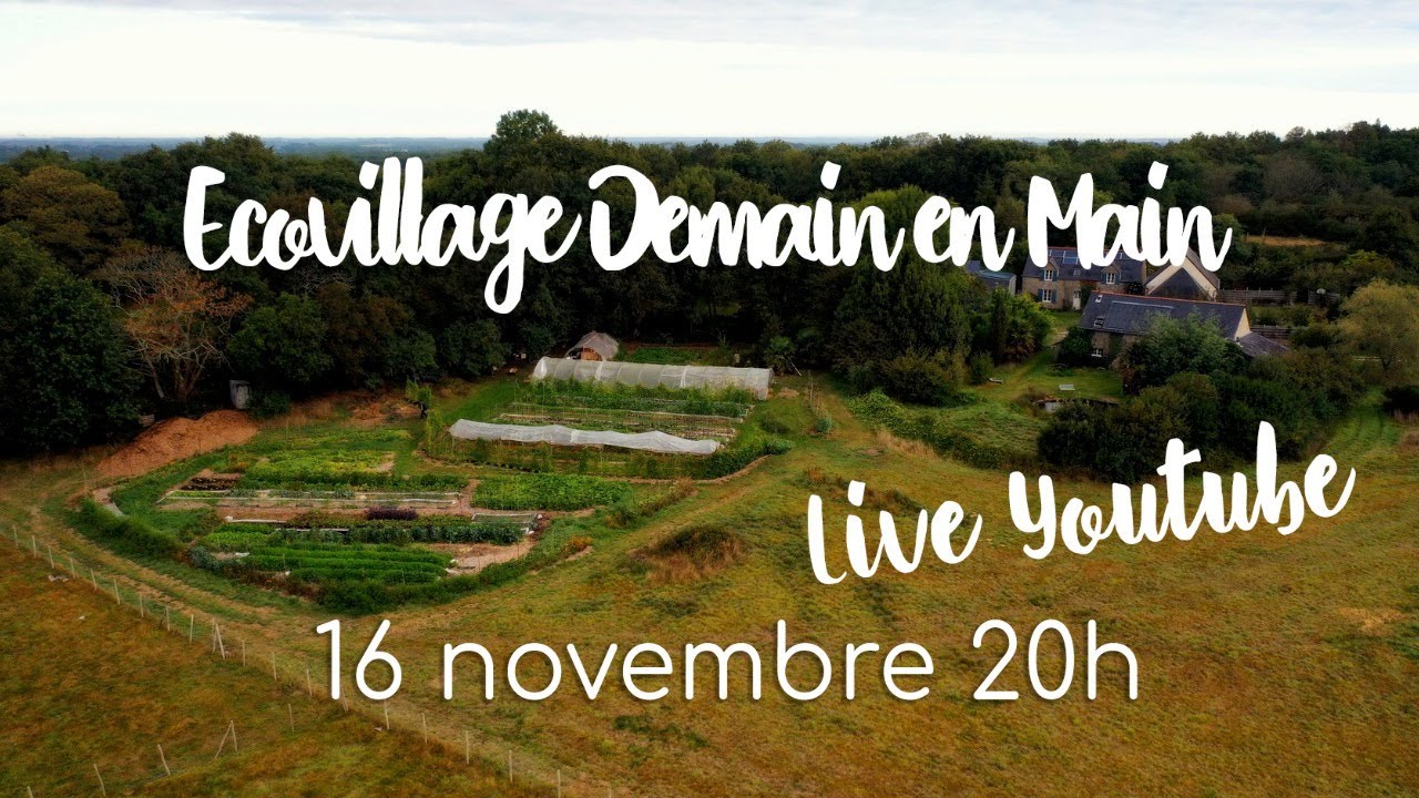LIVE - Aménagement de l'écovillage Demain en main et permaculture