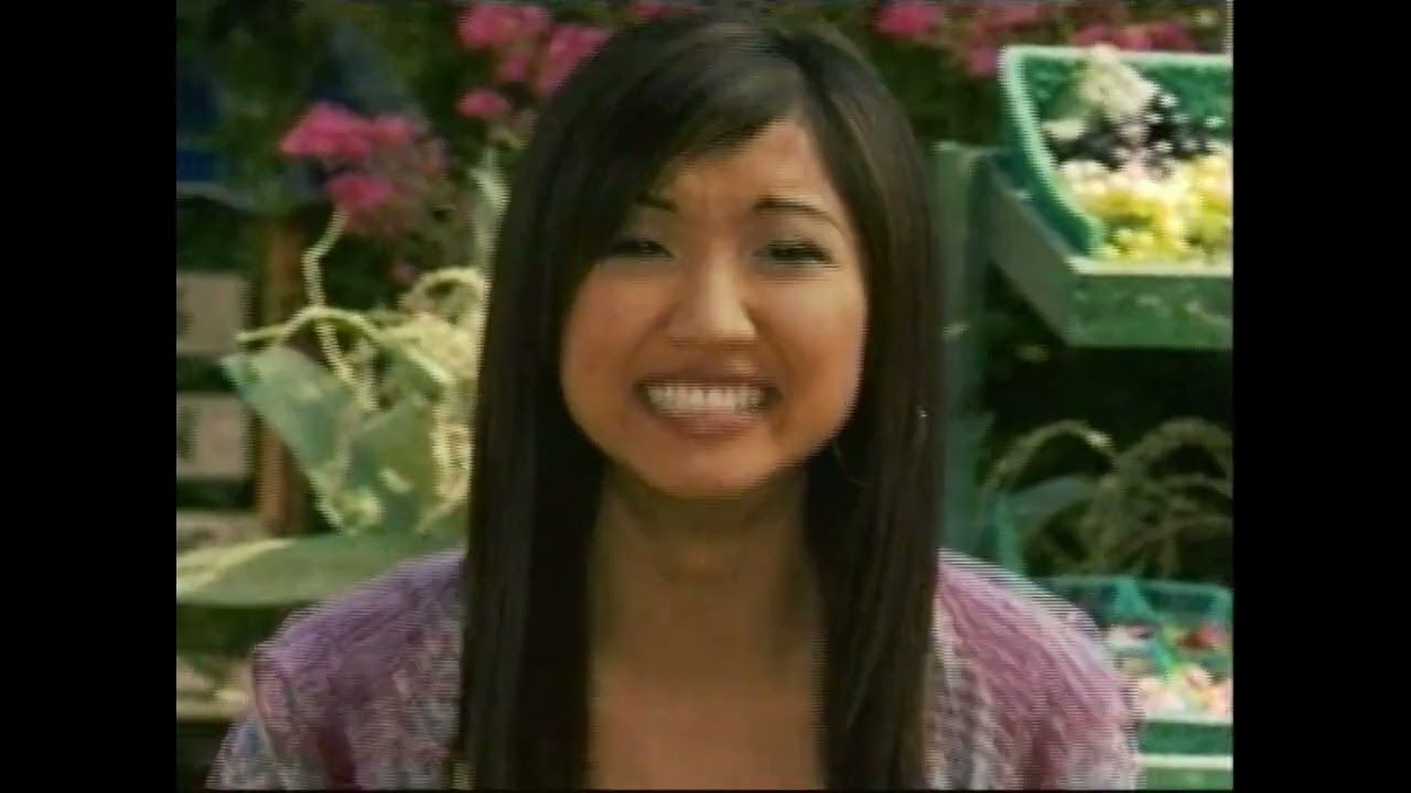 Disney Channel - Commercials, Bumpers, Promos, and Credits from June 2008