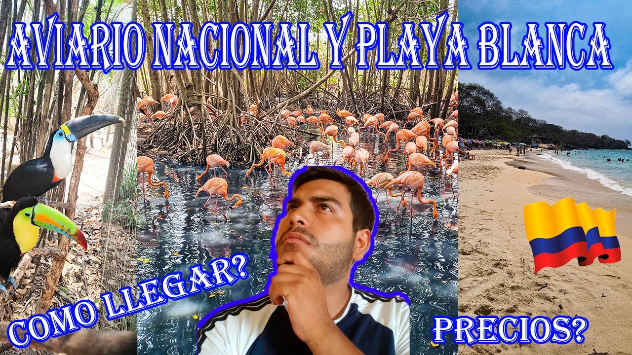 VISITAMOS EL AVIARIO NACIONAL DE COLOMBIA E ISLA BARU POR NUESTRA CUENTA , COMO LLEGAR ? PRECIOS ?