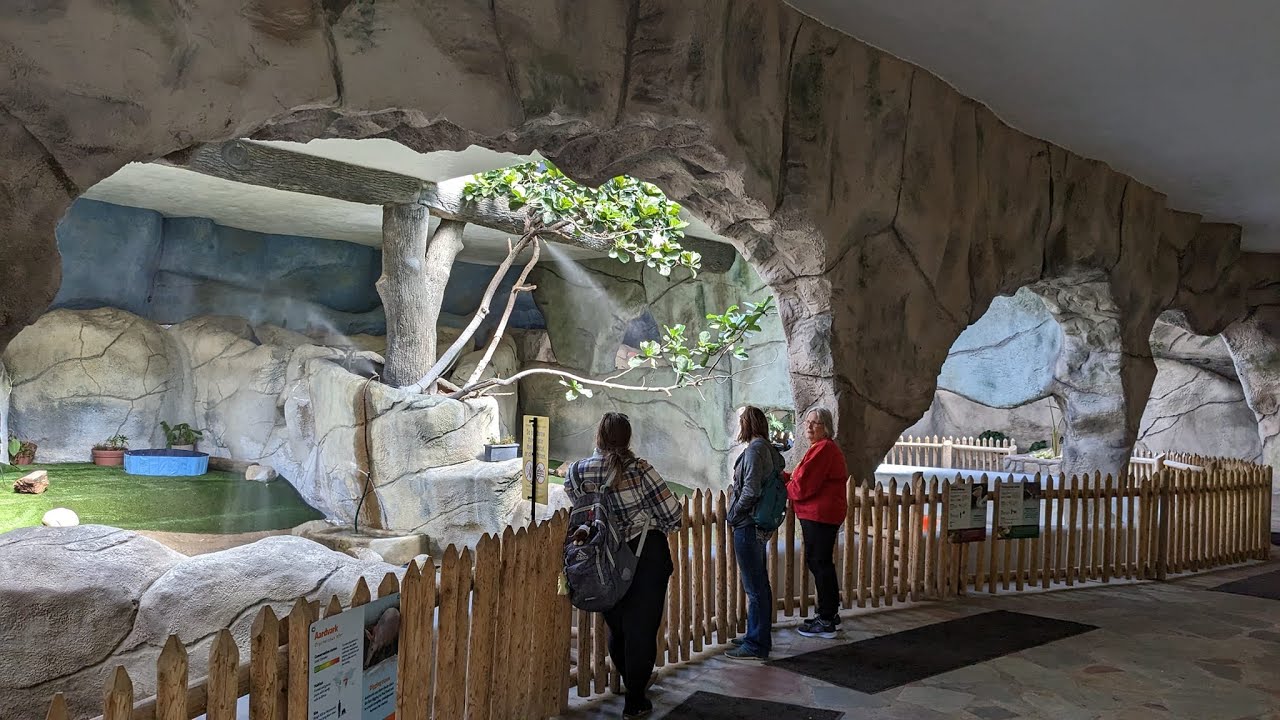 Field Trip: Detroit Zoo - March 2023