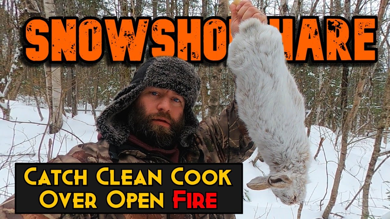Primitive Catch & Cook Rabbit Over Open Fire!