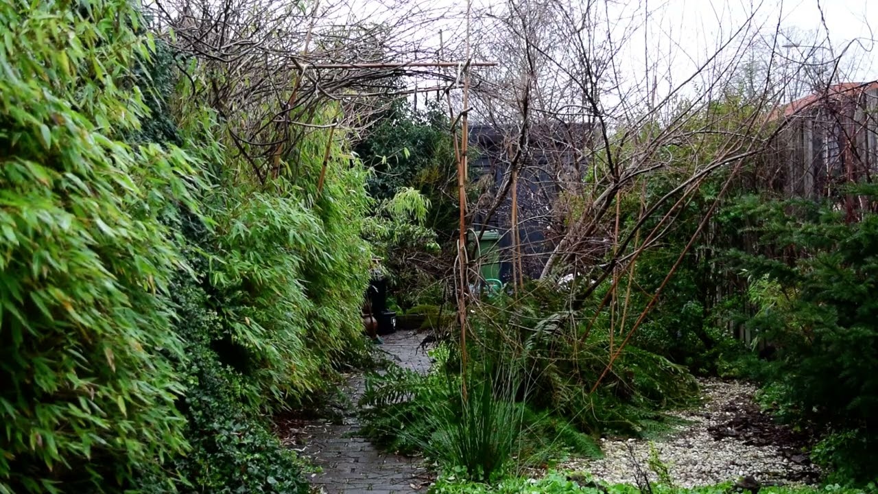 The boring Garden #072