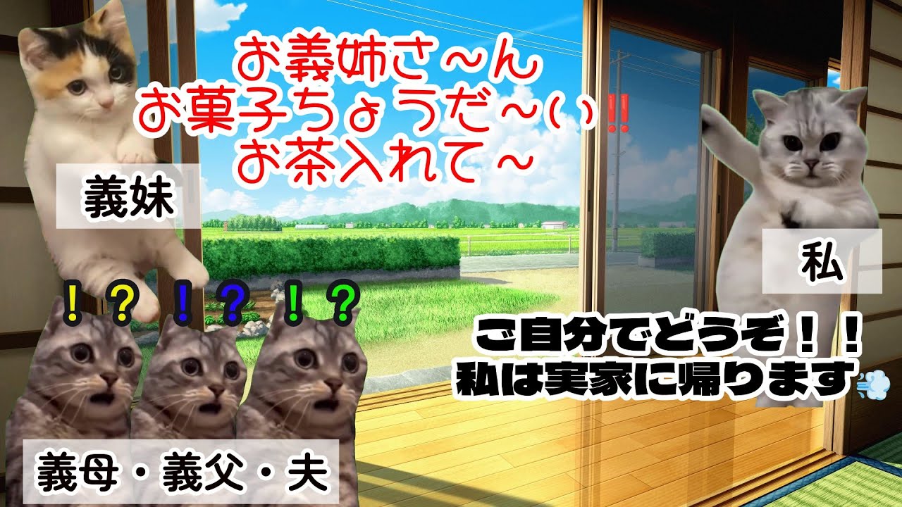 【スカッと猫ミーム】コトメ「おなかすいた！」→私「じゃ、実家帰りますね♪」義家族と夫が唖然 #猫マニ #猫ミーム