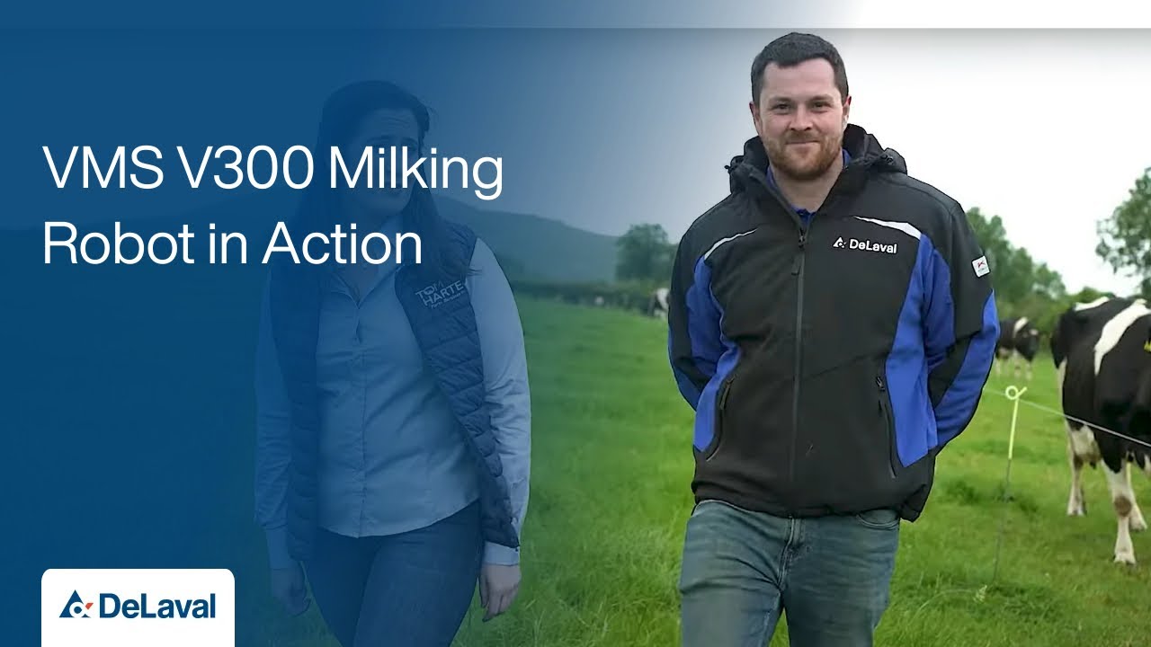 DeLaval VMS V300 Milking Robot in Action on Simon Butler's Farm in Adare
