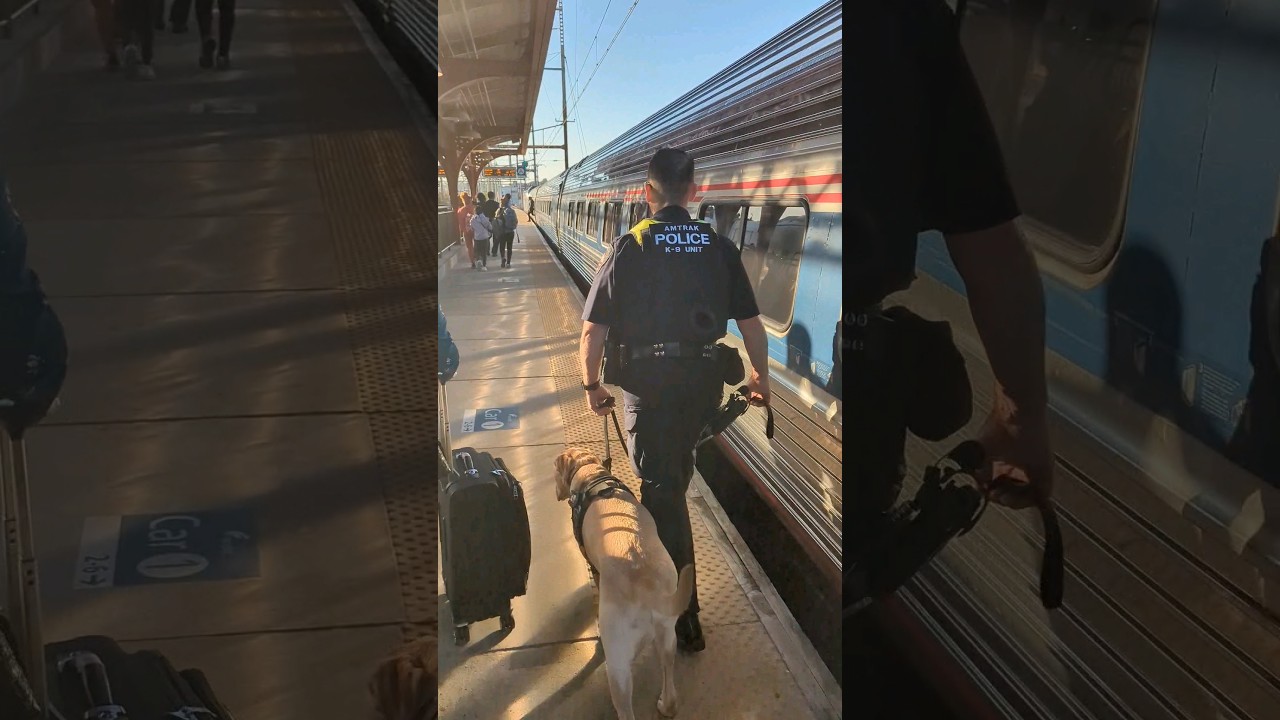 AMTRAK Police K-9 Unit