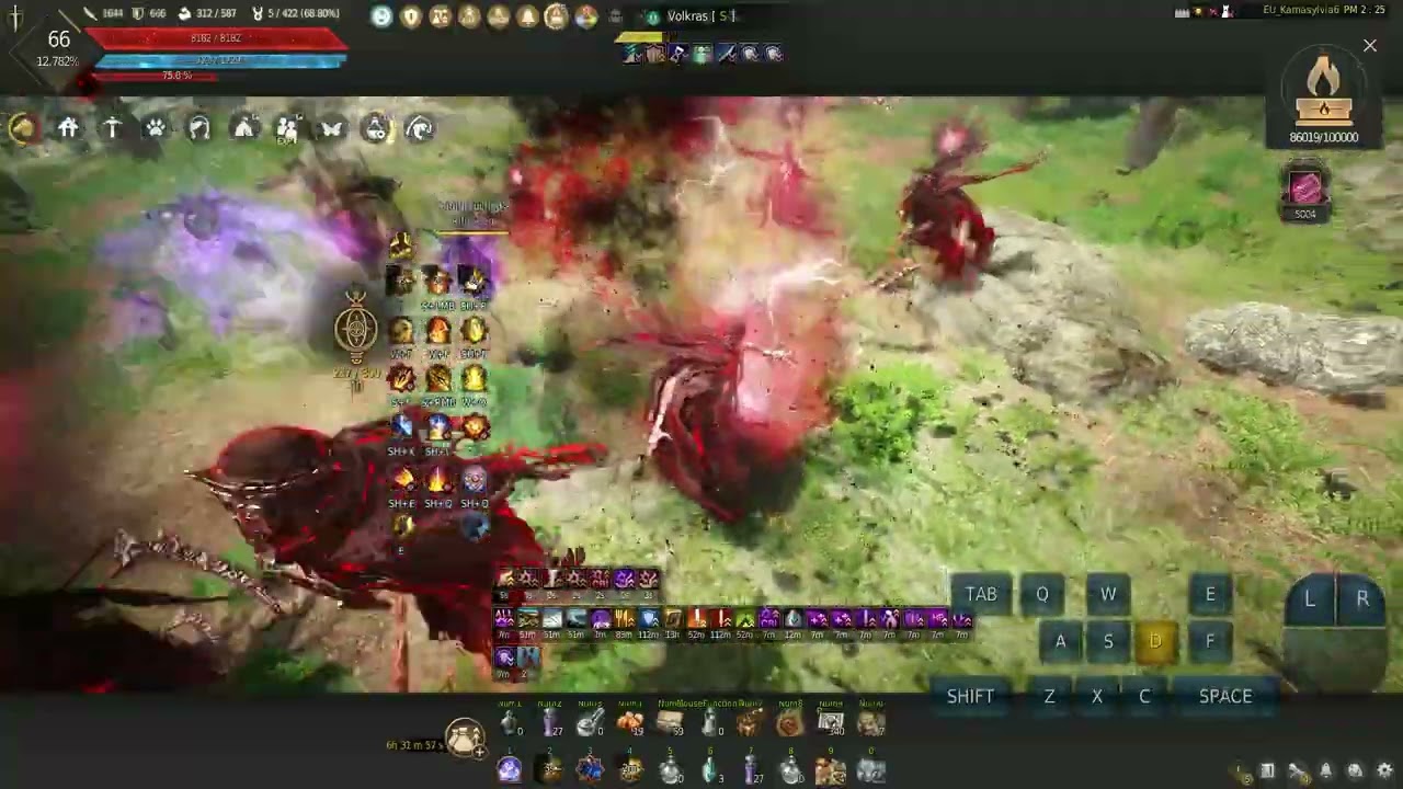 BDO Sage Awakening Dehkia 2 Ash Forest 47.4k/h (Lv2+Agris)