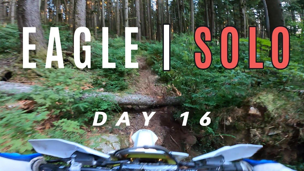 Beginner Tries Enduro | DAY 16 FE350 | Building confidence alone