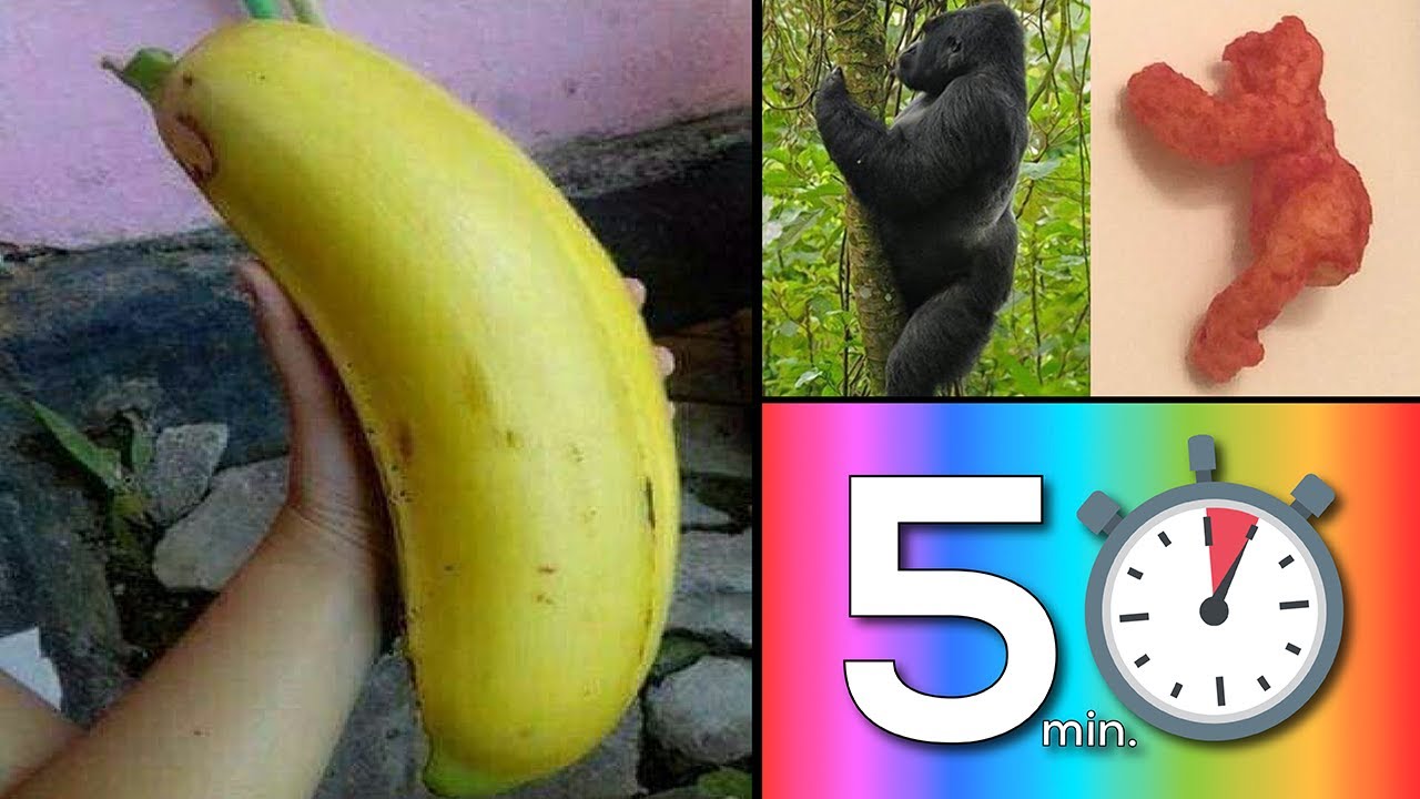 &iexcl;Cosas que no sab&iacute;as hace 5 minutos! [45]