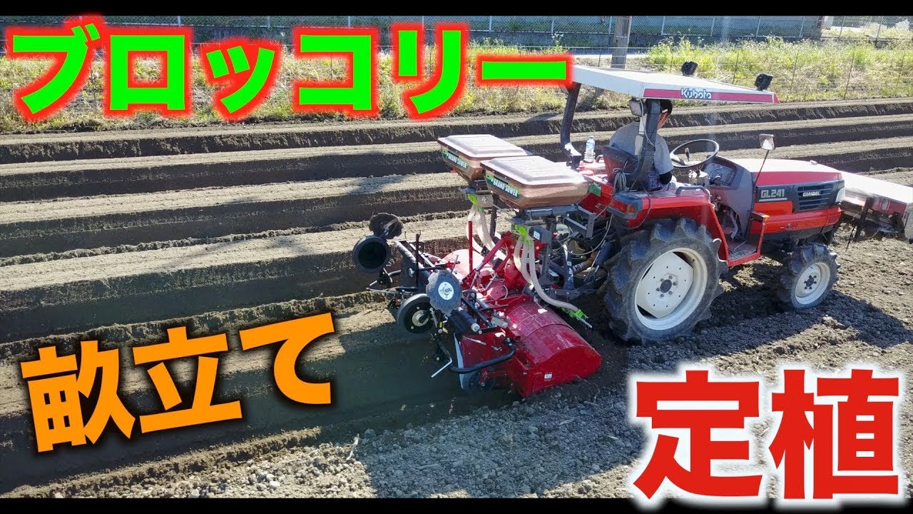 ブロッコリー畝立てと移植作業#178