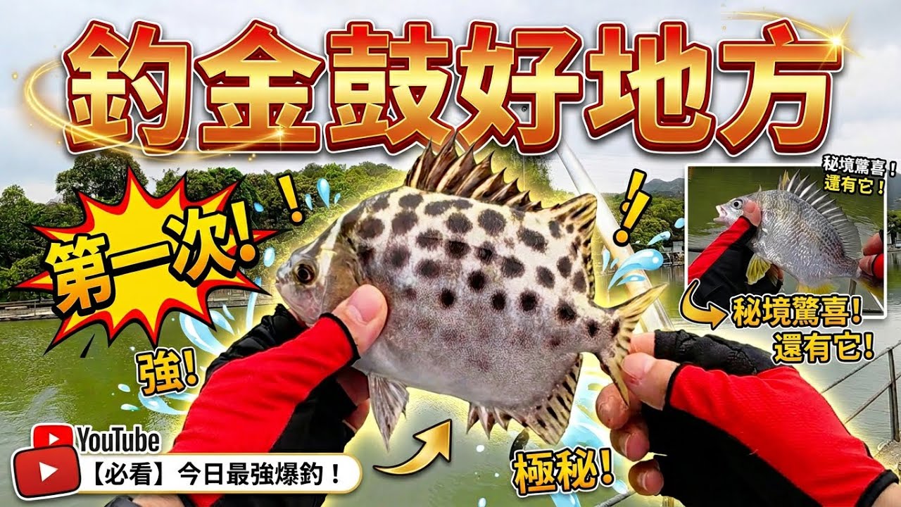 釣金鼓的好地方｜親子活動好去處