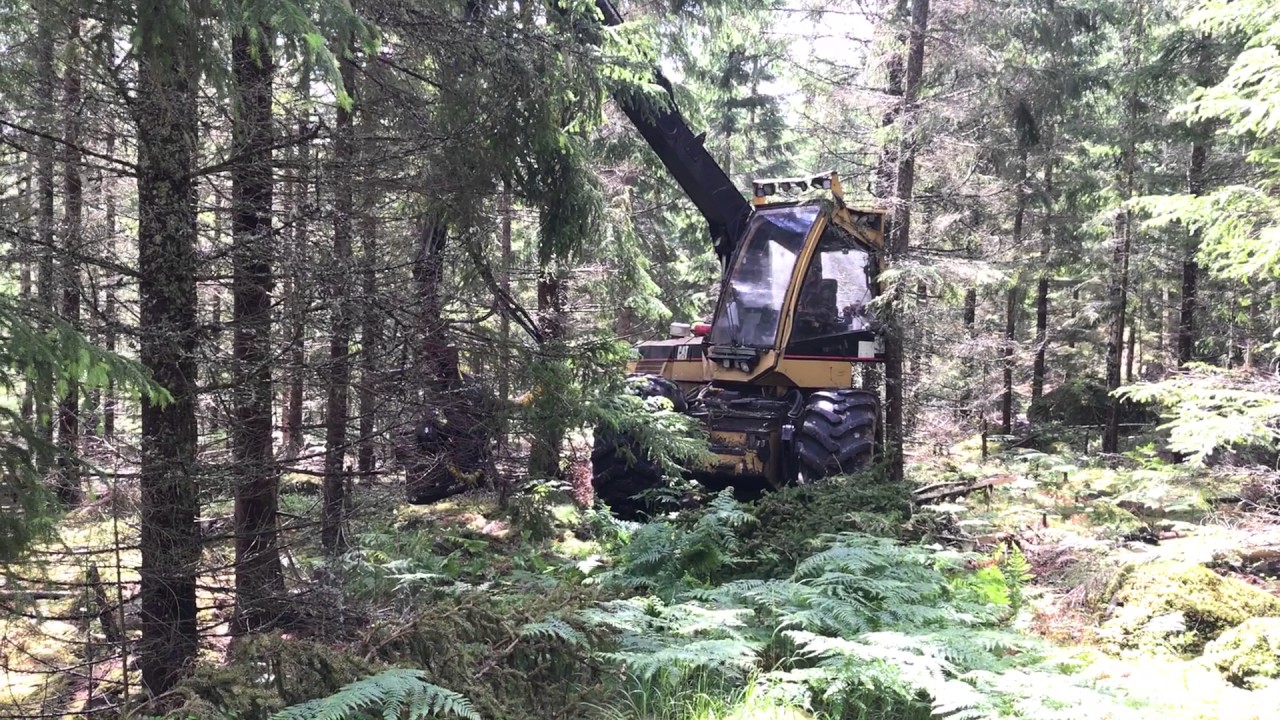 Cat 570 Skördare Klaravik
