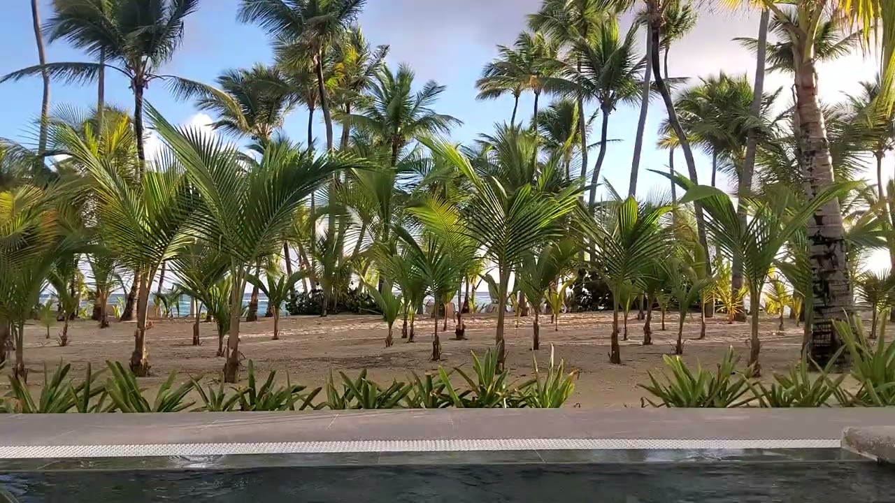RIU Palace Bavaro Punta Cana Morning