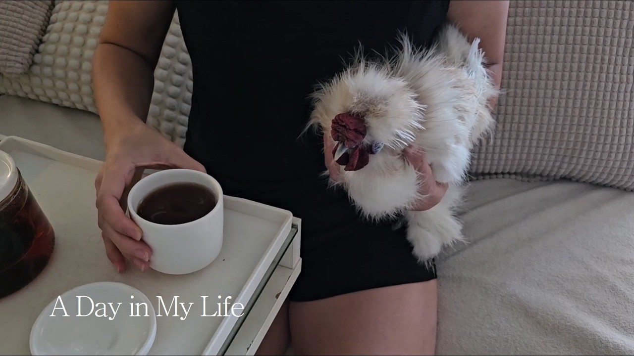 Weekend Diaries 🚴  | Breakfast 🍛🍜 | Groceries Delivery 🥔 🥕  🥦| Tea Time 🍵 🫖| Relaxing with my pet 🐔😌