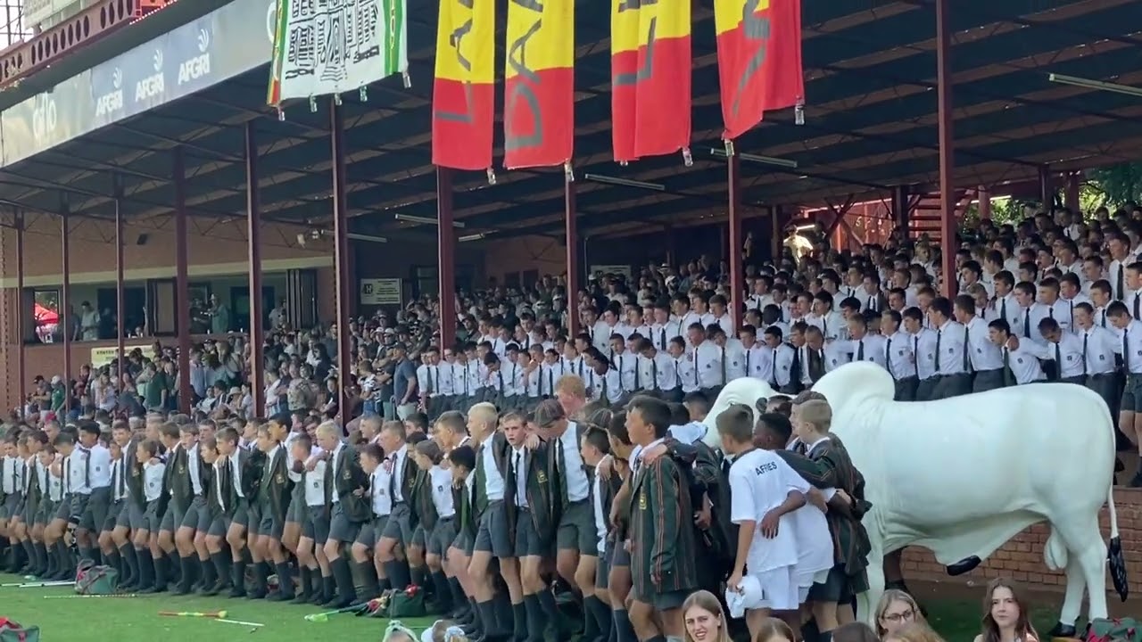 AFFIE GEES - 18 MAART 2023