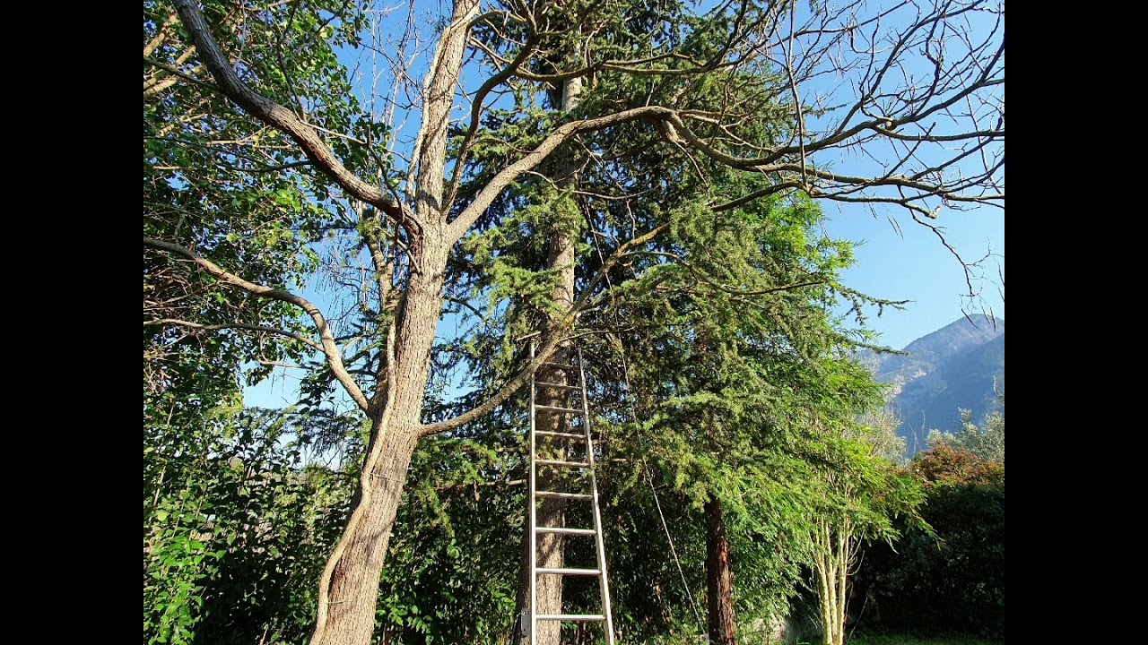 Nefelis Treehouse in Greece