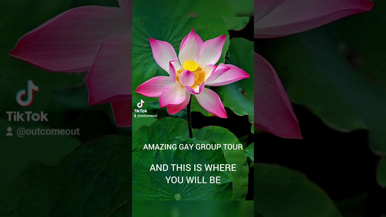 Vietnam & Cambodia gay group tour 🏳️&zwj;🌈