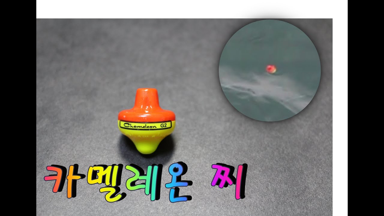 카멜레온 찌 / 채비 방법 / 영상 / 사용 후기