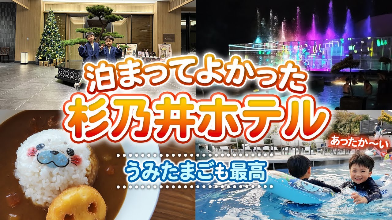 【杉乃井ホテル】泊まって分かった人気の理由｜セットで行くべき？うみたまご