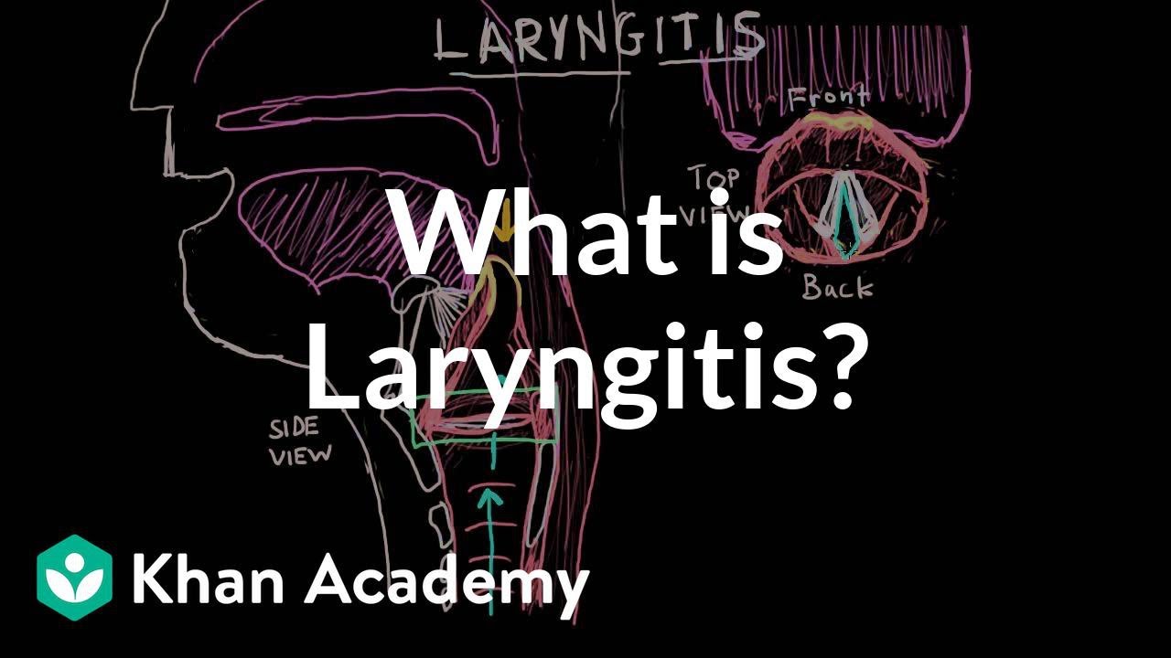 What is laryngitis ? | Respiratory system diseases | NCLEX-RN | Khan Academy