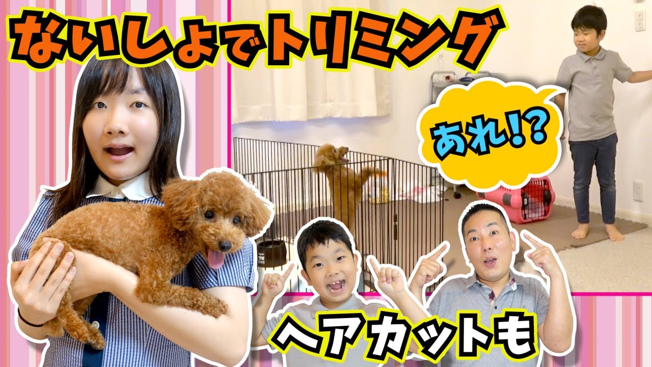 ★【検証】最初に気づくのは誰！？ひめちゃんとおうくんに内緒でこちょのトリミング！～そのあとはひめちゃん達の変装にこちょは気づくかの検証も♪～★