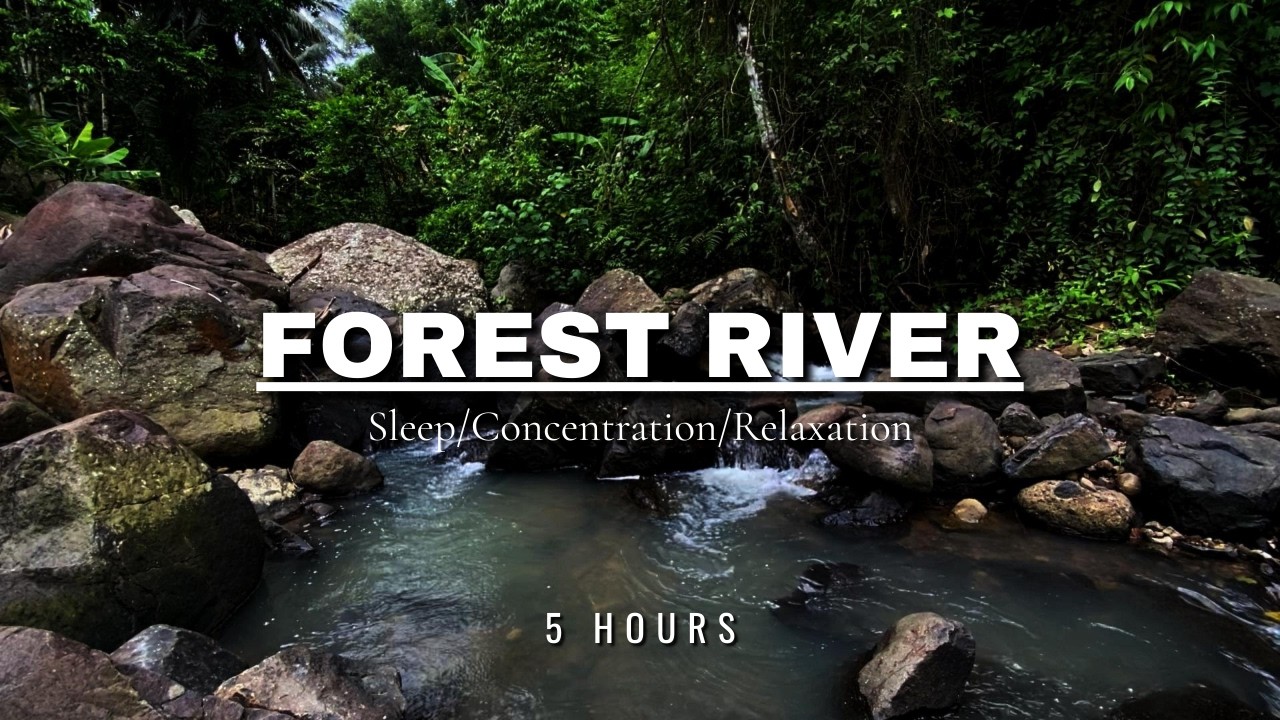 River Flow & Forest Birds Chirping | Gentle Nature Sounds ASMR for Sleep & Meditation | 3 Hours