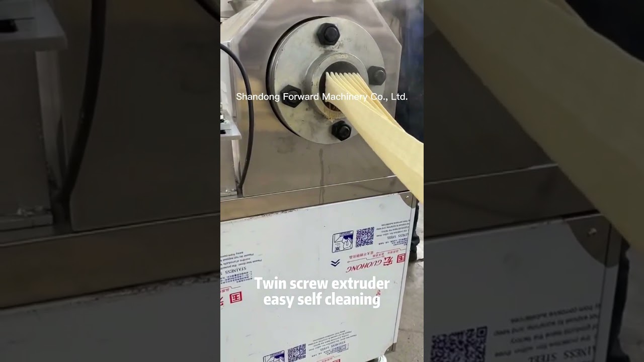 fried snacks production line