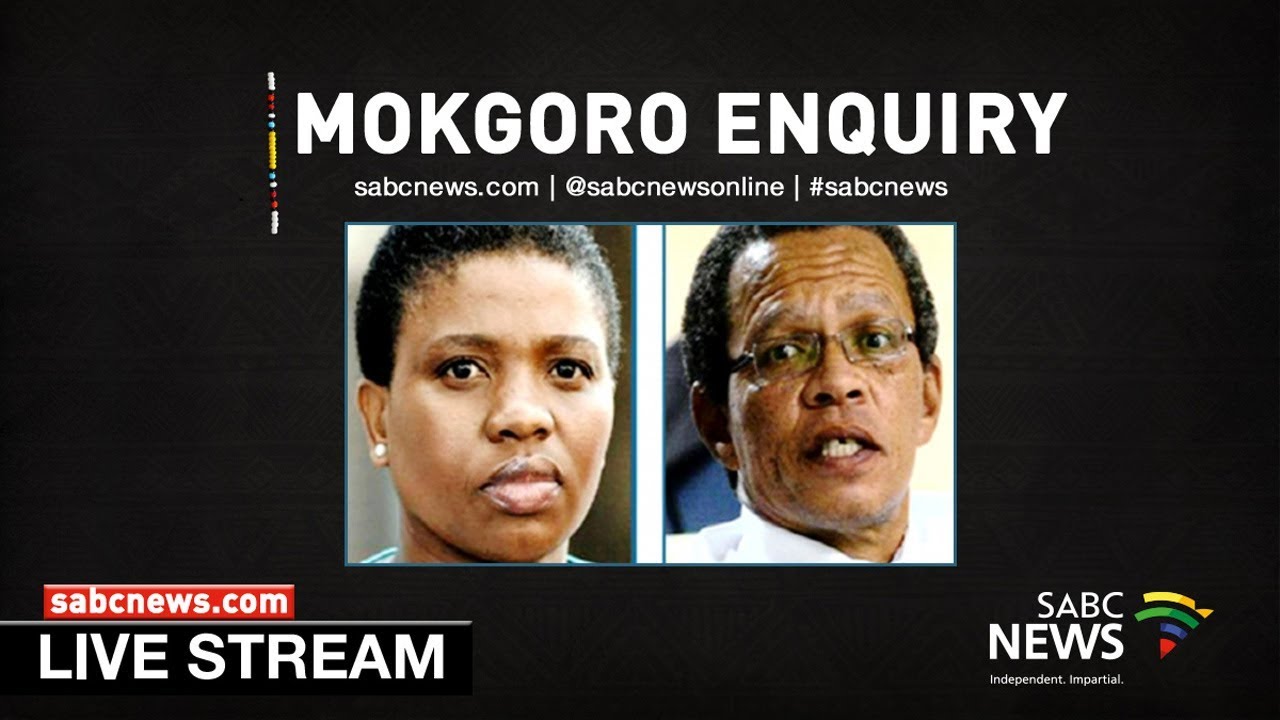 Justice Mokgoro Enquiry, 29 January 2019