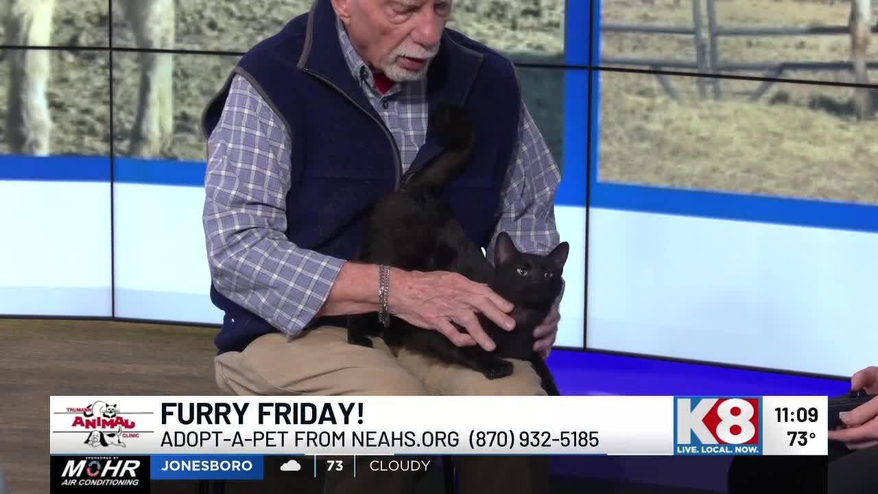 Furry Friday: Ariana