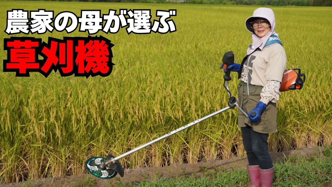 農家のお母さんが選ぶ！軽くて力強いバッテリー草刈機３選【コメリ・マキタ・ECHO】