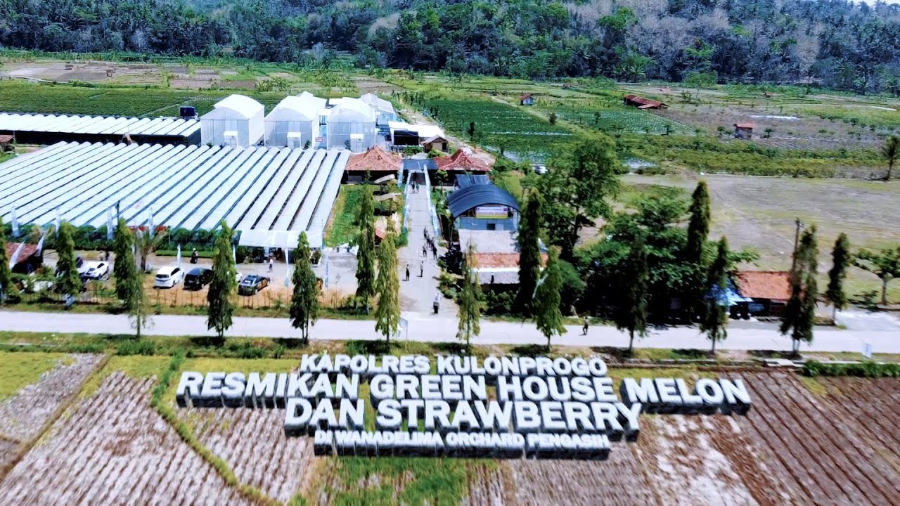 Kapolres Kulonprogo Resmikan Green House Melon dan Strawberry di Wanadelima Orchard Pengasih