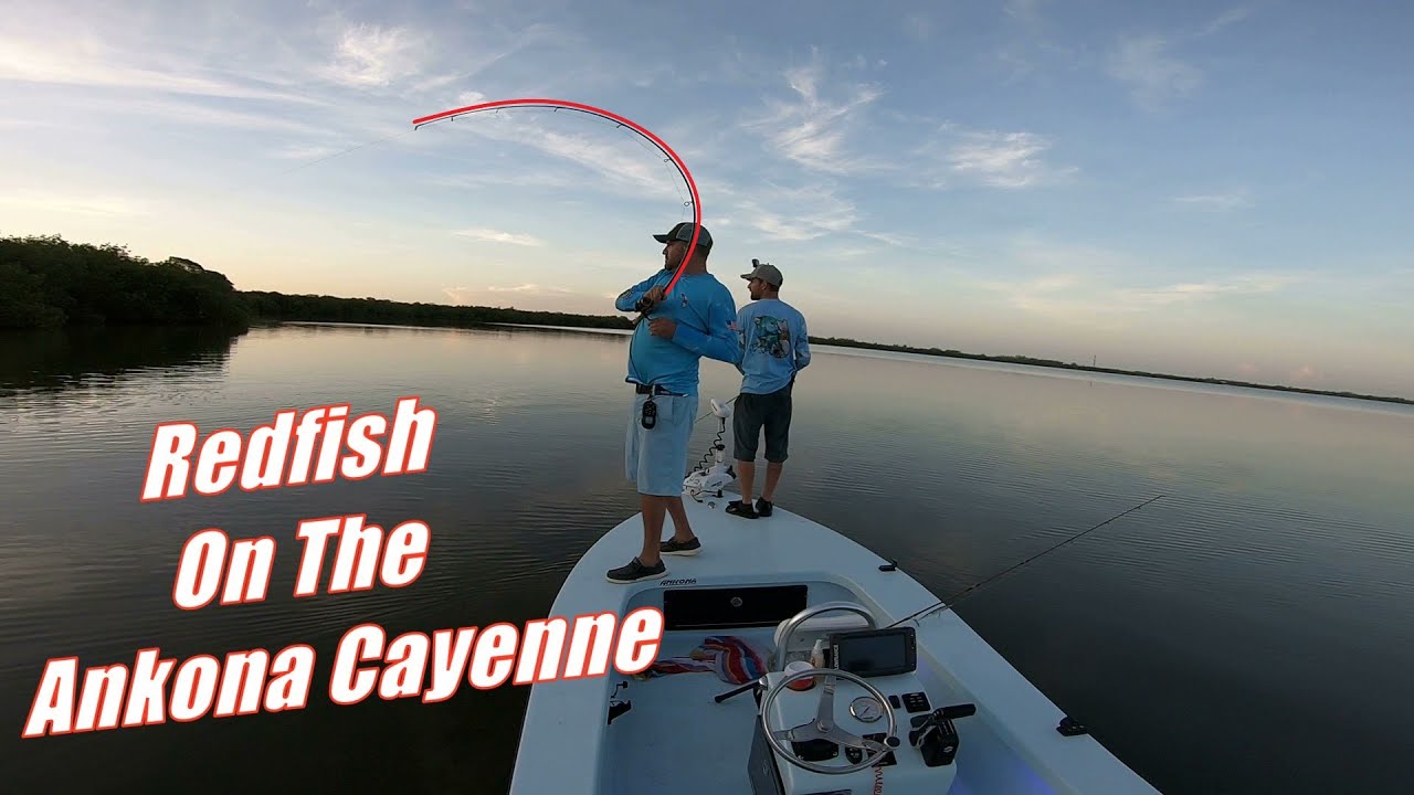 Catching Redfish And Snook With Brian On The Ankona Cayenne!