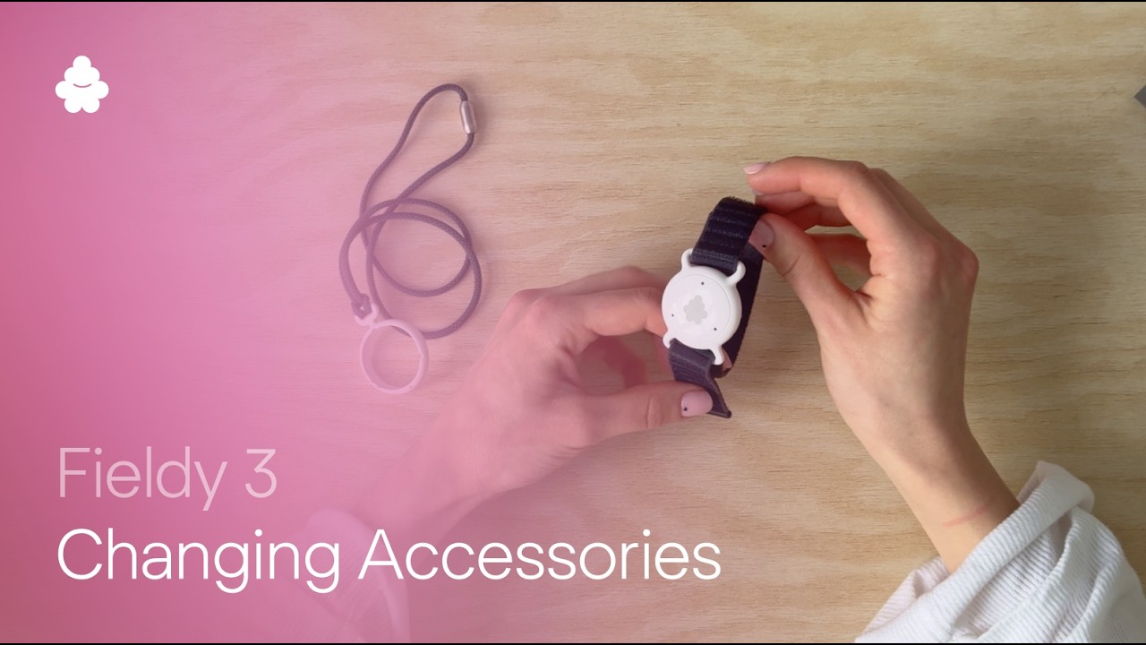 How to change Fieldy 3 Accesories?