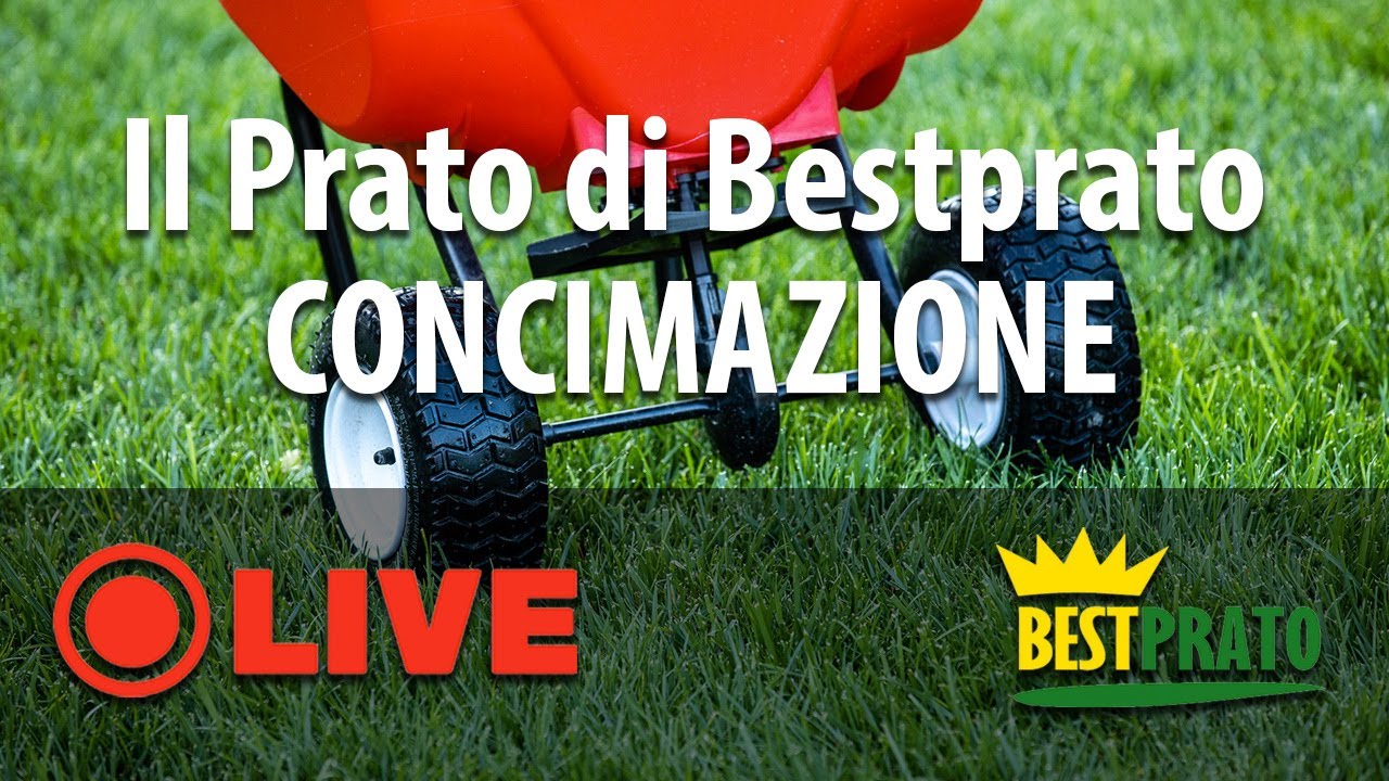 LA RIGENERAZIONE DEL PRATO DI BESTPRATO. CONCIMAZIONE STARTER!