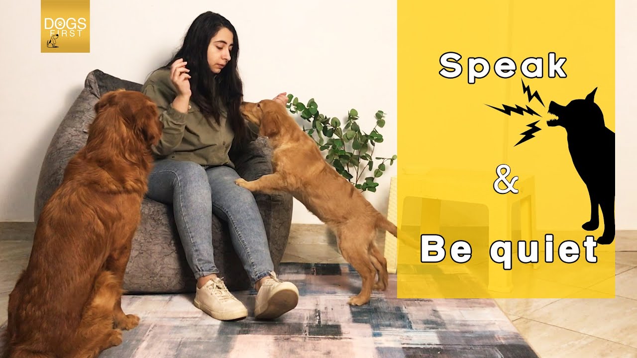 إزاي تعلم كلبك ينبح ويسكت بالأمر