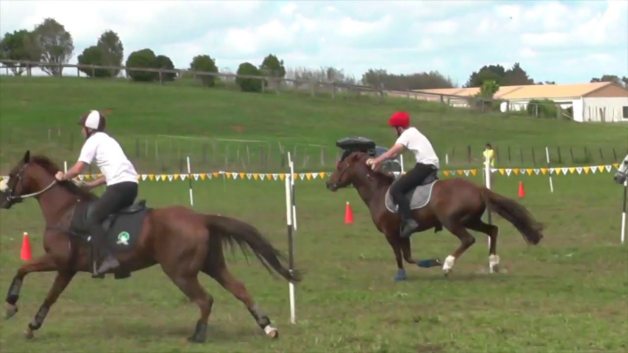Mounted Games - NZ Open Individuals 2016