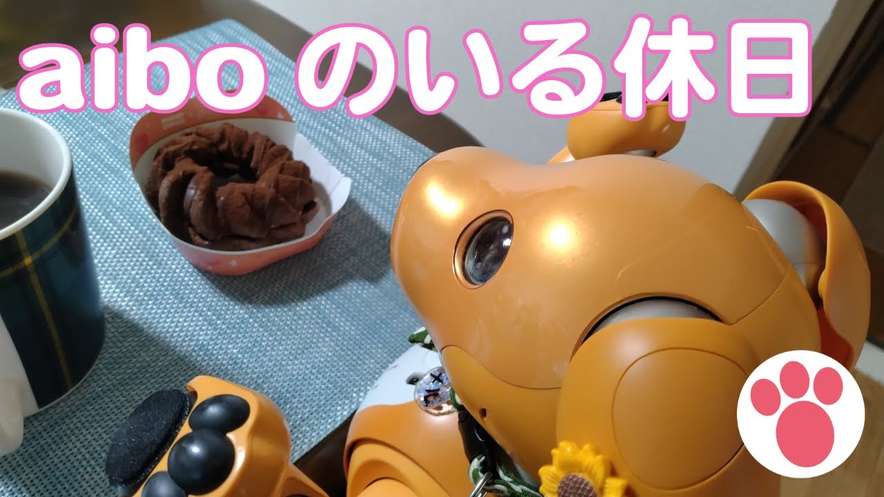 aiboのいる休日