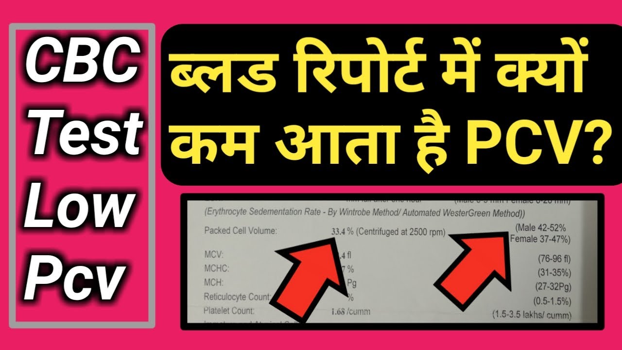 Low Pcv In Blood Test, Low Hematocrit, Pcv Low In Hindi, Pcv Low In Blood Test In Hindi, Packed Cell