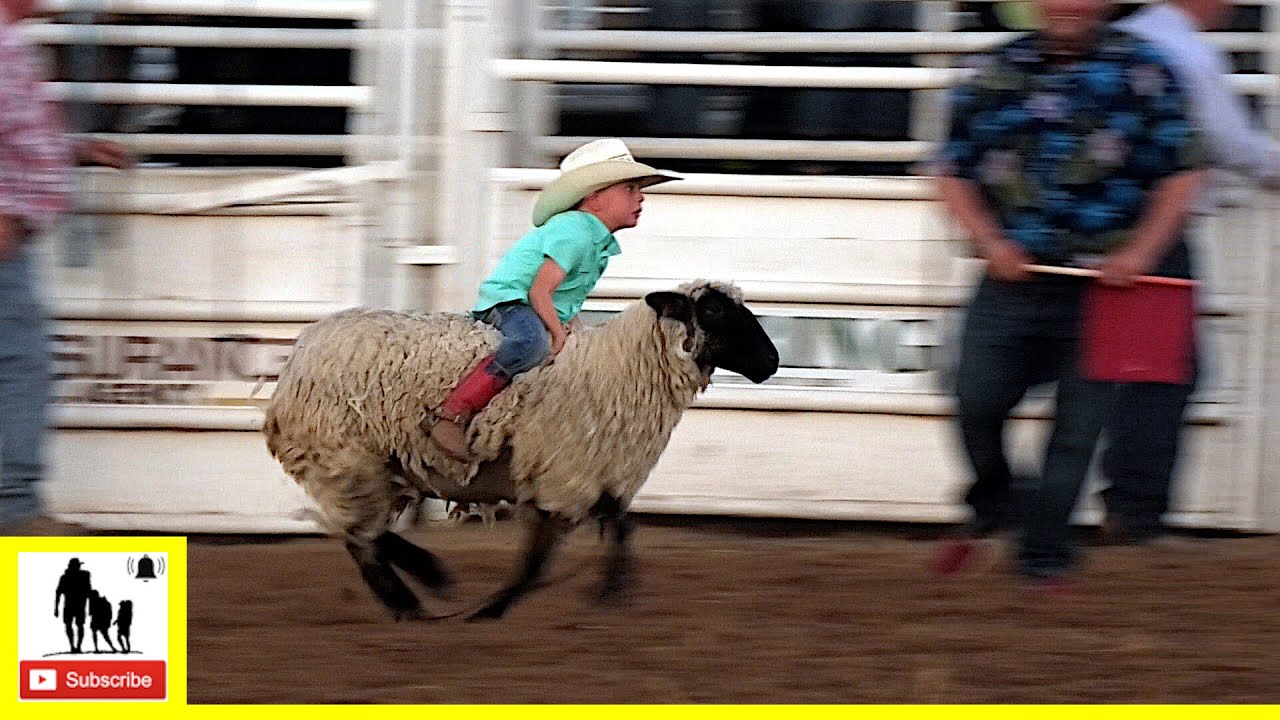 Охота на баранов 🦙 2021 Saint's Roost Ranch Rodeo | Суббота