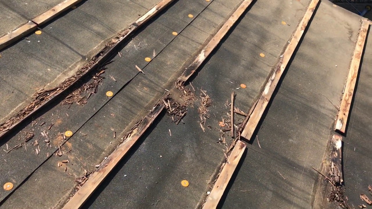 Tile Roof Not Installed Correctly Causing Leaks & Rotted Battens