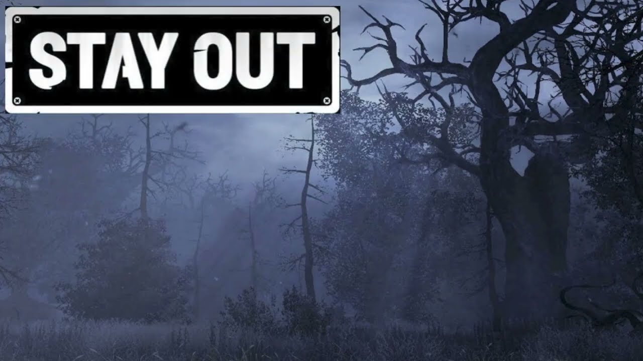 Влияние Черного Леса на боровов // Stay Out // Сталкер Онлайн