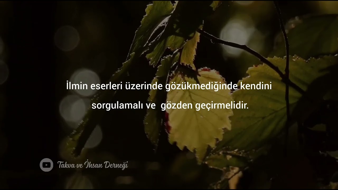 İlim Haşyettir...