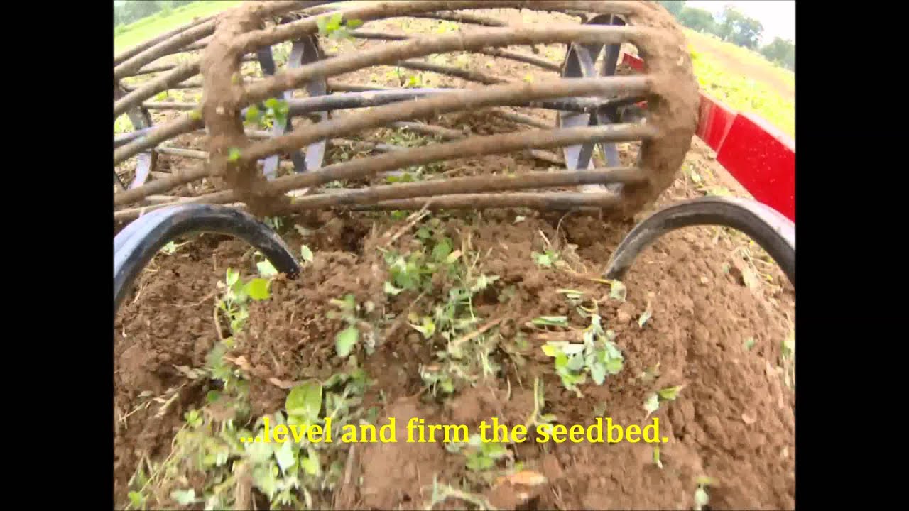 Shipshe Culti-Mulcher for Draft Animal Tillage