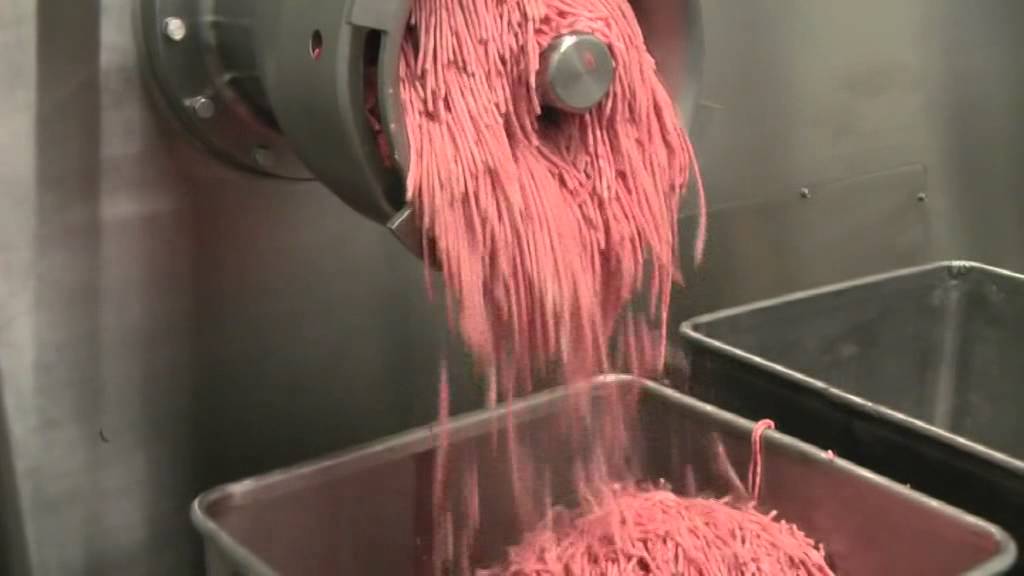 SEYDELMANN Tritacarne AW 300