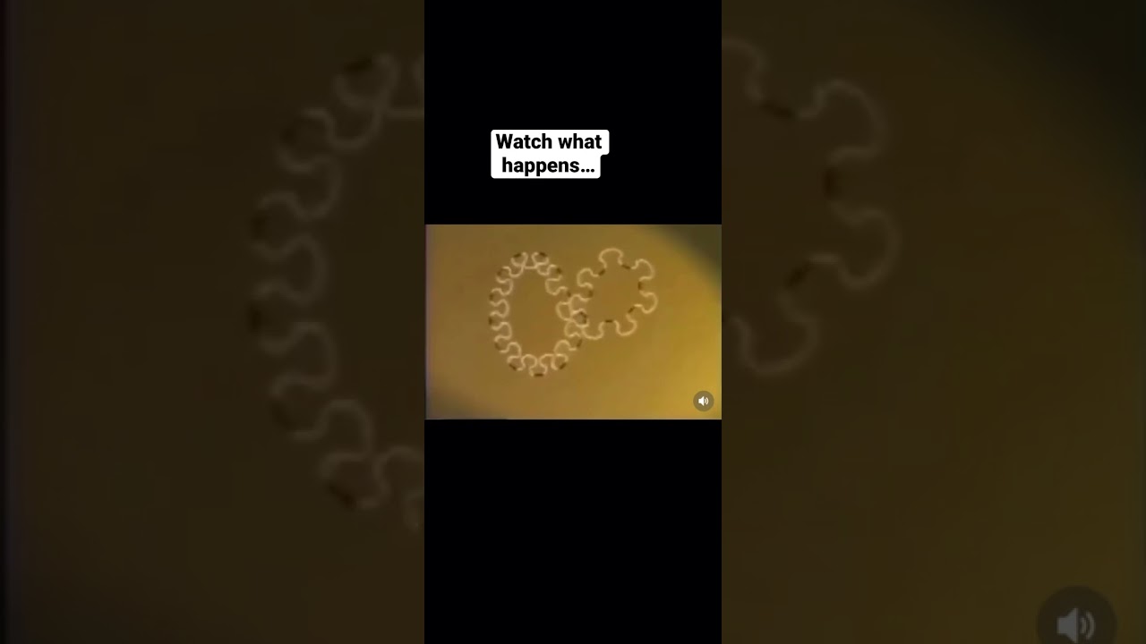 Turning a Figure 8 into Circle (Wait for It...)